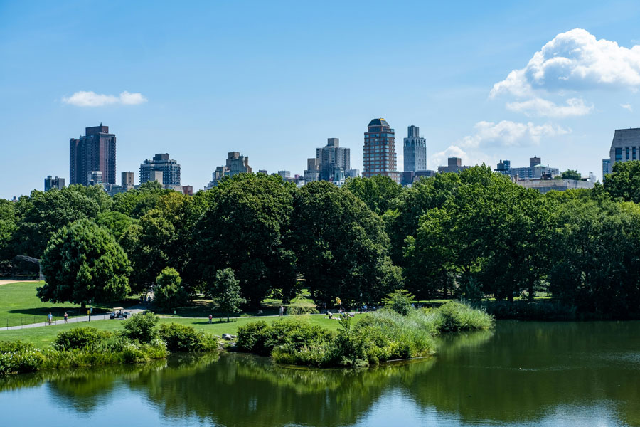 City Park Renewal Project